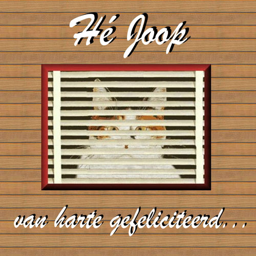 Joop 2007